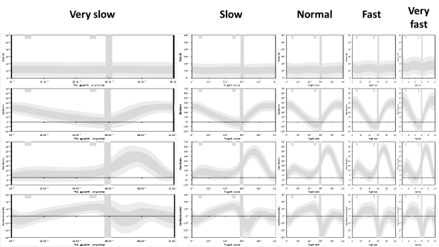 Different speeds not time normalised