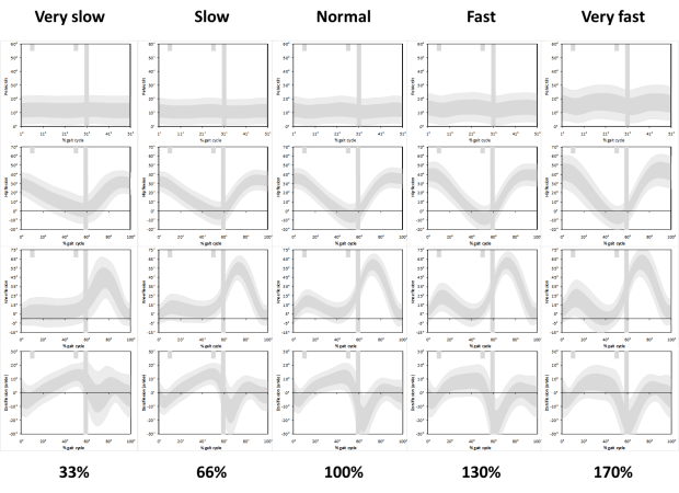 Different speeds time normalised