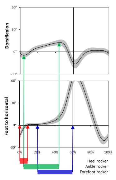 Rocker graphs