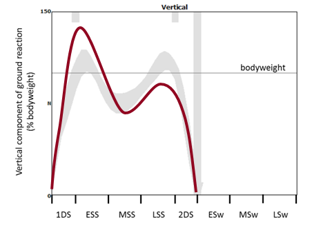 gait graphs | Walking with Richard